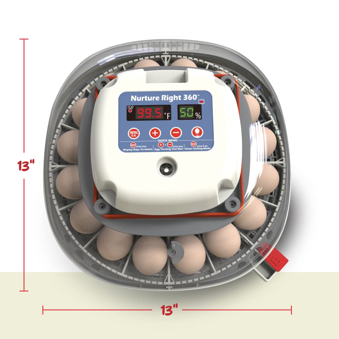 🥚 Auto Egg Incubator with 360° View | Holds 22 Eggs | Automatic Turner & Digital Control
