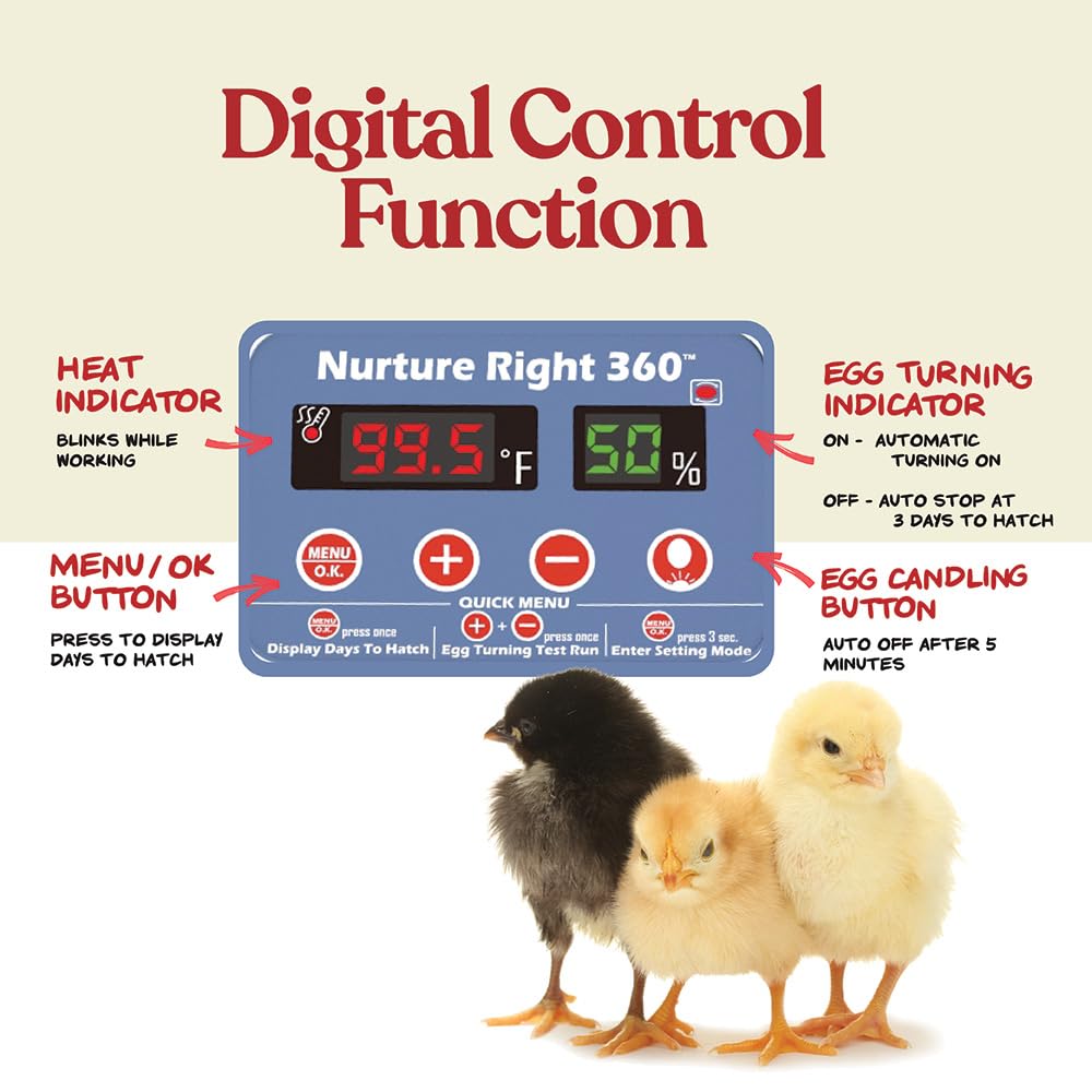 🥚 Auto Egg Incubator with 360° View | Holds 22 Eggs | Automatic Turner & Digital Control