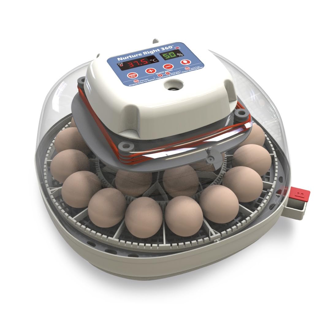 🥚 Auto Egg Incubator with 360° View | Holds 22 Eggs | Automatic Turner & Digital Control