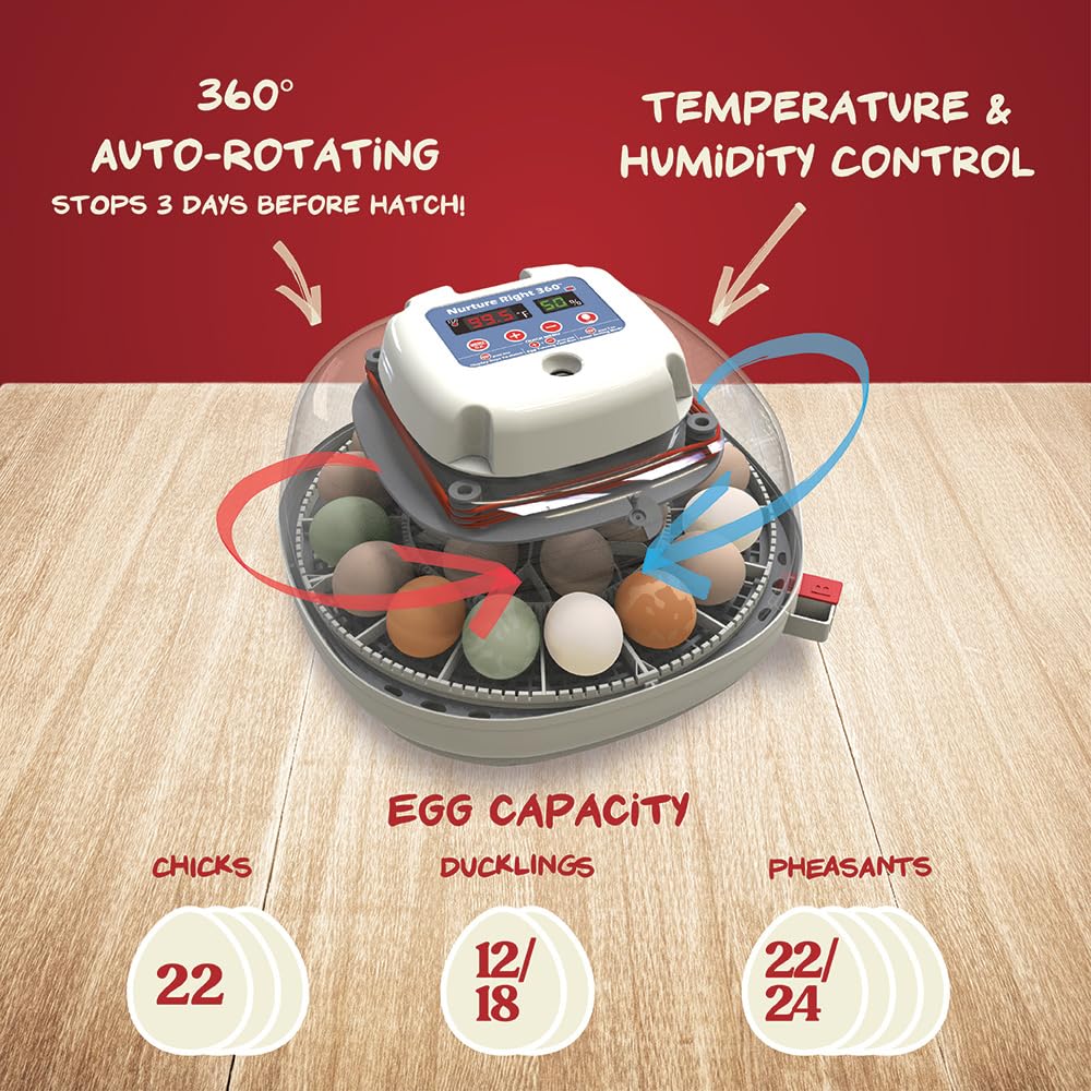 🥚 Auto Egg Incubator with 360° View | Holds 22 Eggs | Automatic Turner & Digital Control