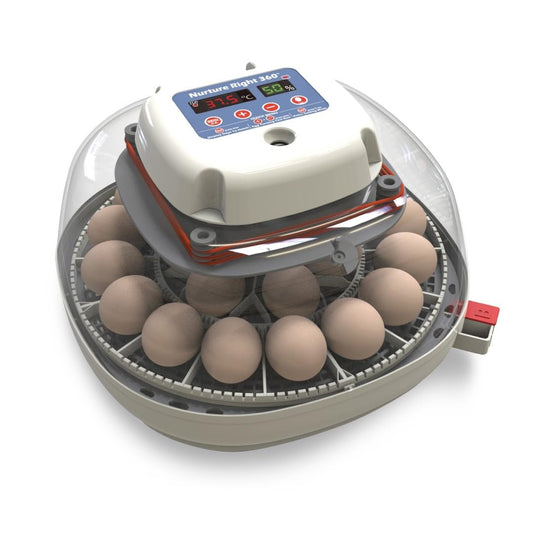 🥚 Auto Egg Incubator with 360° View | Holds 22 Eggs | Automatic Turner & Digital Control